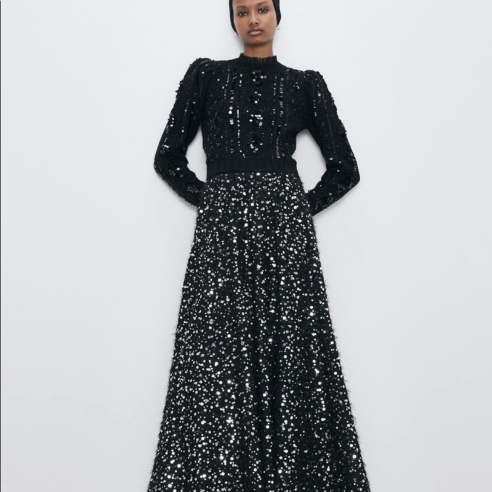 Brand New With Tags Zara limited edition Pearl & Sequin Maxi Skirt. Size Large